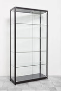 Aigentlich, Vitrine, Schwarz/Silber/Grau, Verkaufs Glas mit LED-Beleuchtung B100xH198xT40 cm, schwarze Aluprofile