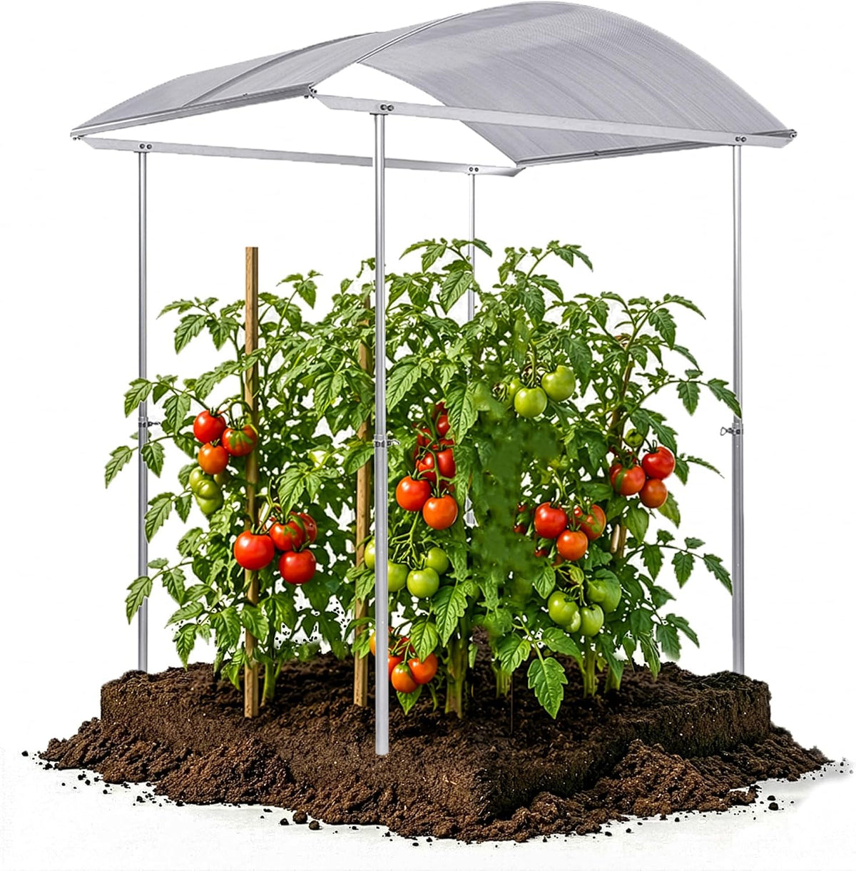 Beckmann, Abdeckplanen, 200x150 cm, 6 mm, Weiss/Grün, Tomatendach PSR2, Stabile Tomatenüberdachung & Überdachung für Hochbeet