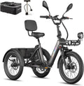 Fafrees, E-Bike, 20 Zoll, 180 kg, 48 V, Grau, F20 Mate E Bike Dreirad für Erwachsene Zulassung [, Elektrofahrrad 3 Rädern 65N.m
