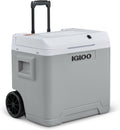 Igloo, Mini-Kühlschrank, 230 V, 12 V, 42 L, Grau, IE42 elektrische Kühlbox, - kompakter für Auto, Camping, Urlaub